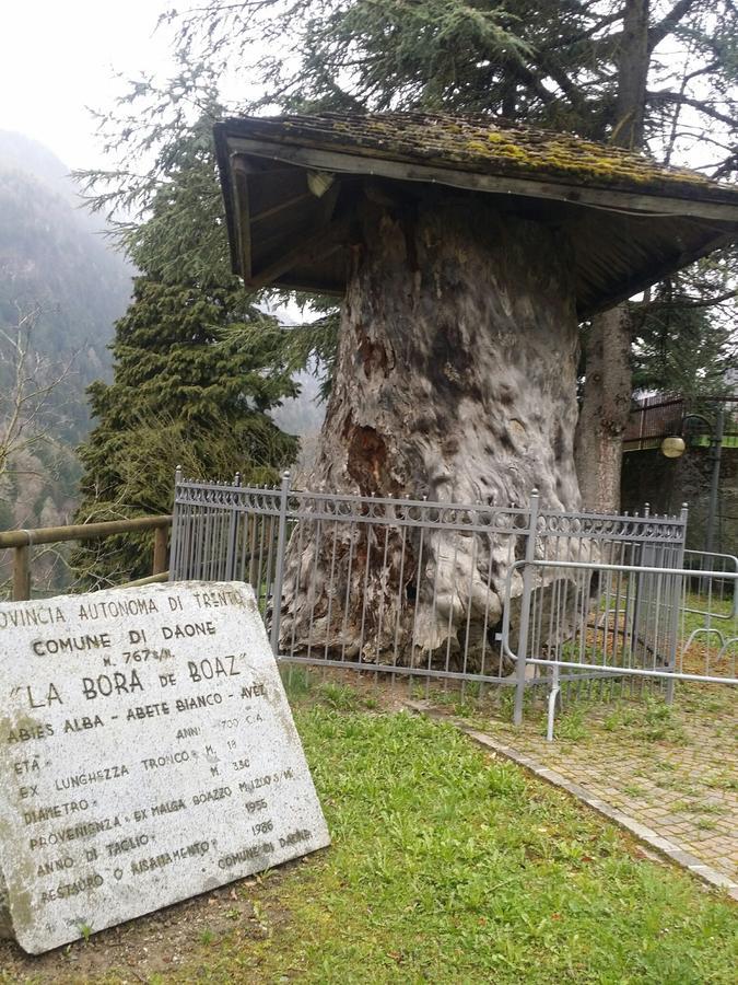 La Valle Hotel *