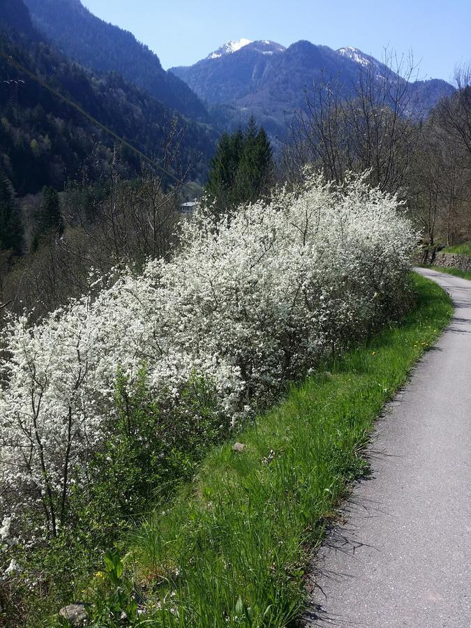 La Valle Daone